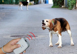 Как шокер действует на отпугивание собак