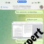 Купить реферат аспиранта в Украине 52